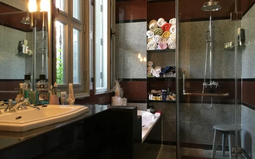 ID: 823 | Renovated French colonial villa close to Saigon CBD for rent
