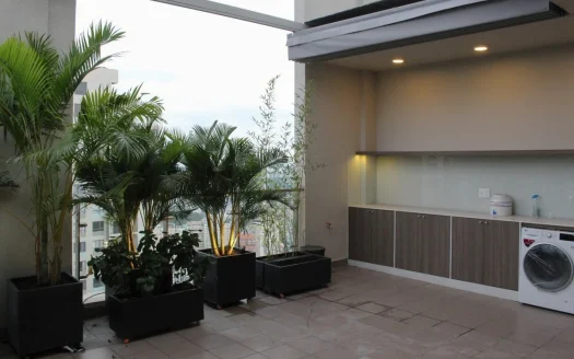 ID: 118 | Masteri Thao Dien: 3-bedroom penthouse with large roof terrace – T3 tower, 41st floor, river view