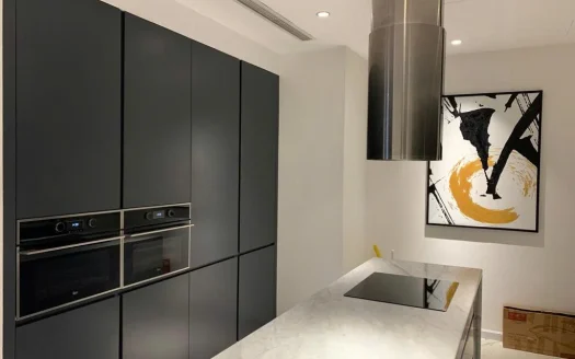 ID: 2602 |  The Vista Penthouse | furnished 4-BR apt + 1 office room