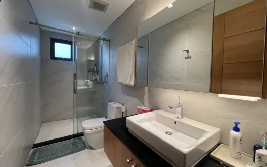 ID: 2789 | Duplex penthouse with Saigon River views