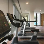 The Nassim 10 The Nassim Thao Dien – Gym 1